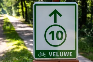 Wandelen in de Veluwe: adem de frisse boslucht in
