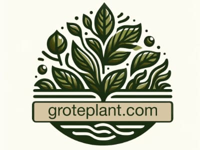 grote plant 400 300